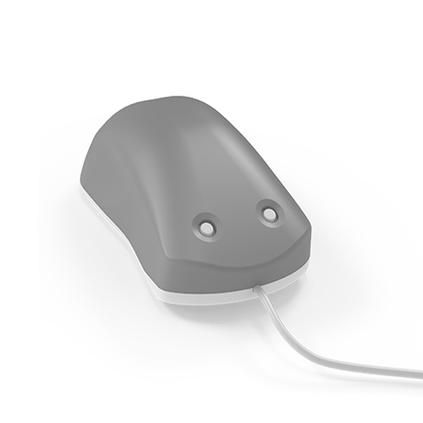 Brain Gauge: The Ultimate Portable Cognitive Assessment & Brain Health Monitor