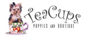 TeaCups, Puppies & Boutique