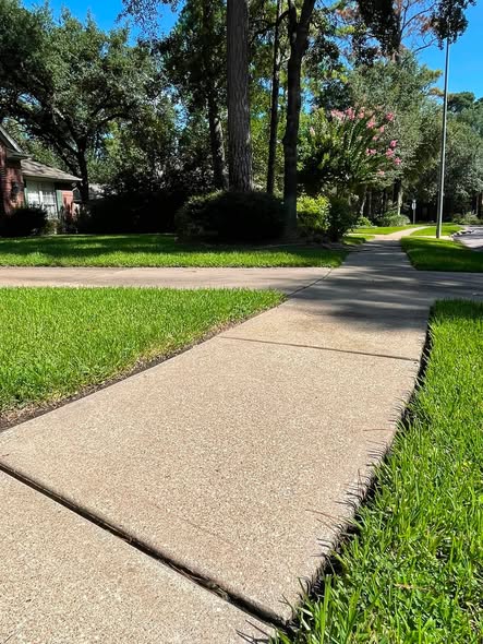 Clean neighborhood sidewalk lined with trees and landscaping
