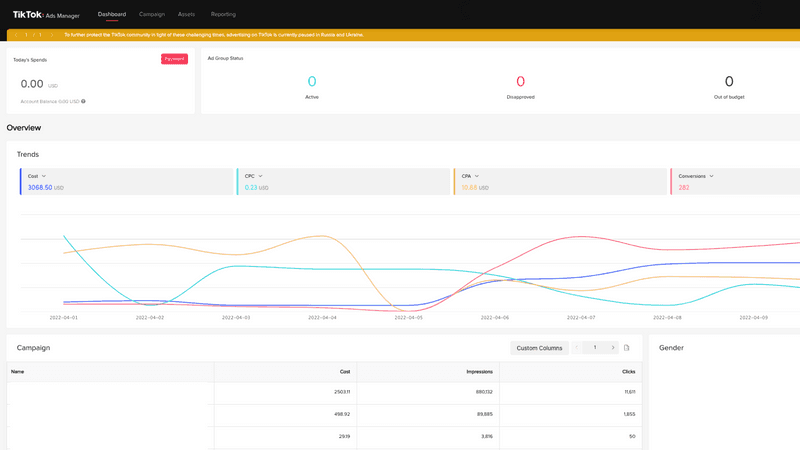 TikTok Ads campaign dashboard example