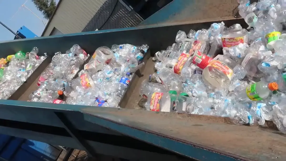 Plastic bottles riding a conveyor at Clovis Recycling