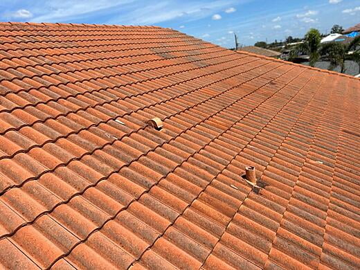 Roof Repair — In Progress